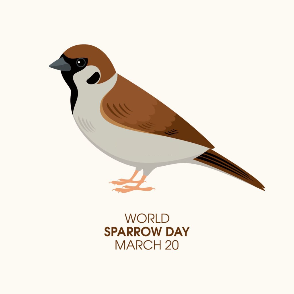 Poem On Sparrow In Hindi